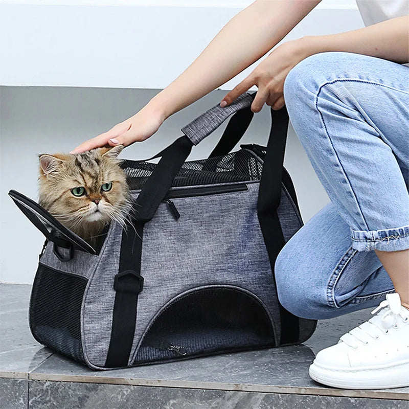 Foldable Mesh Pet Carrier Bag